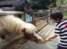 馬とロン